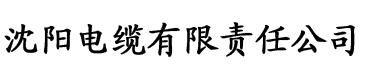 亚洲中文字幕在线第六区电缆厂logo